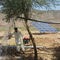système solaire de pompage de l'eau de 4kw picovolte/kit actionné solaire de pompe à eau pour l'agriculture fournisseur